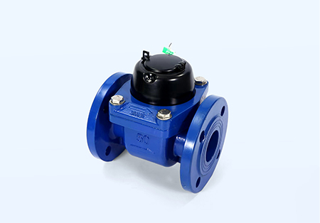  Detachable Horizontal Woltman Meters